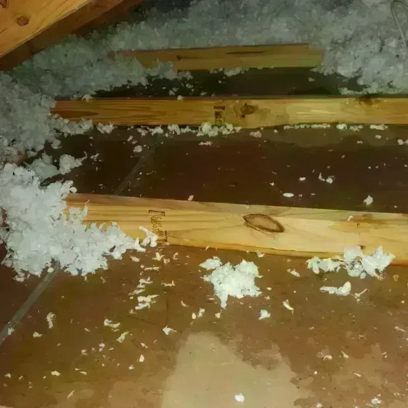 Attic Water Damage in Brooksville, MS